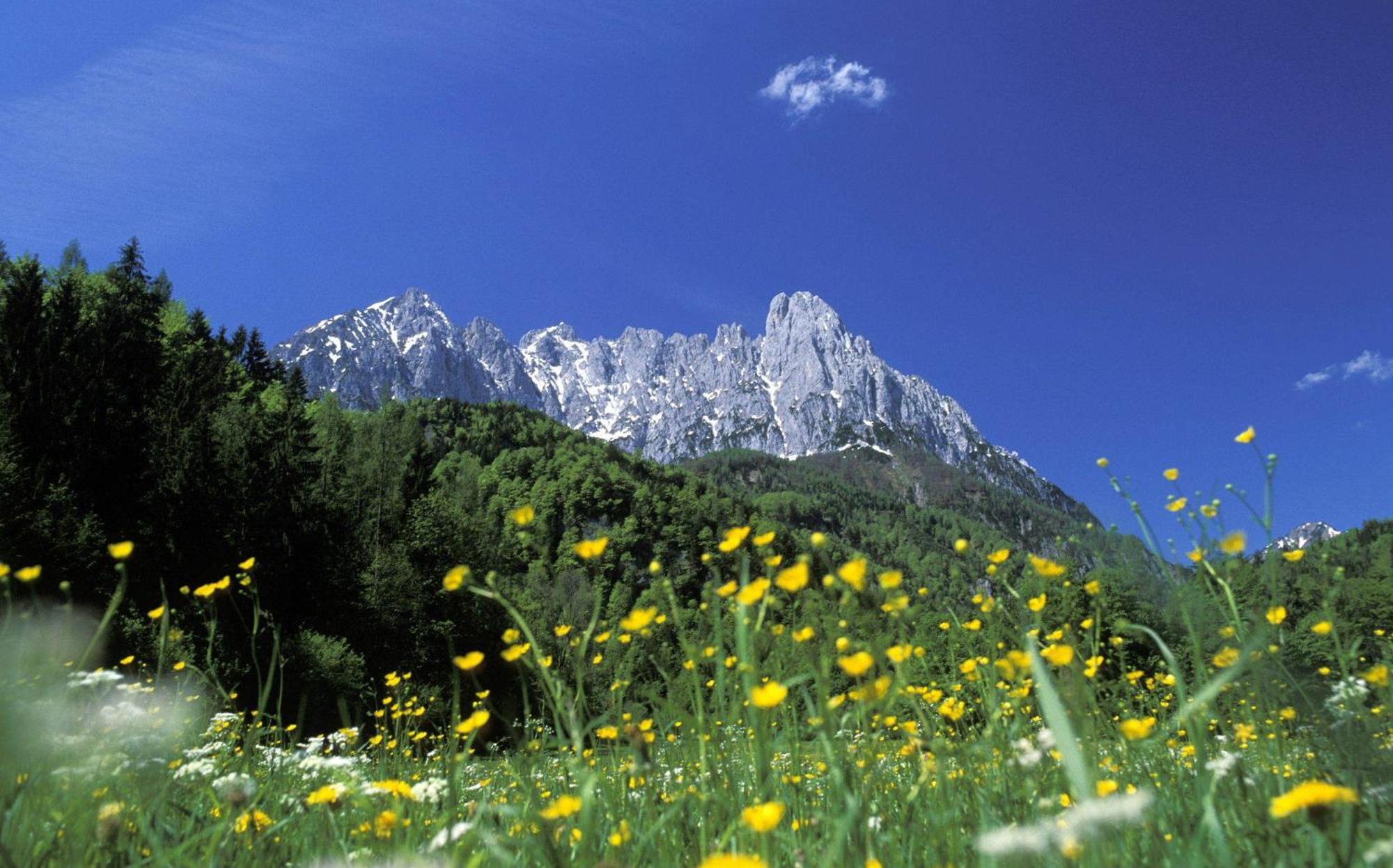 Landhaus Foidl Sankt Johann in Tirol Εξωτερικό φωτογραφία
